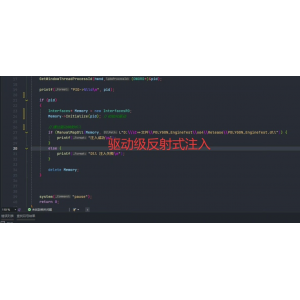内核驱动级反射式注入.zip